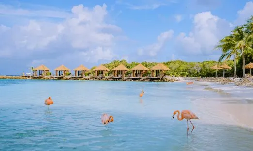 ARUBA- SLIDER (3)