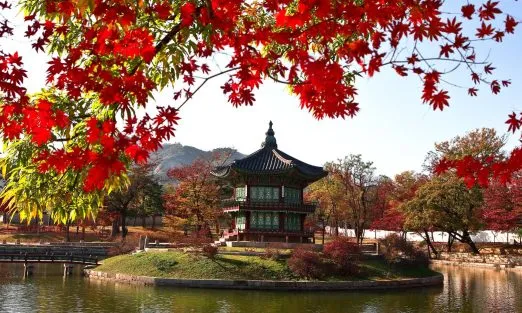 SOUTH KOREA – SLIDER (3)