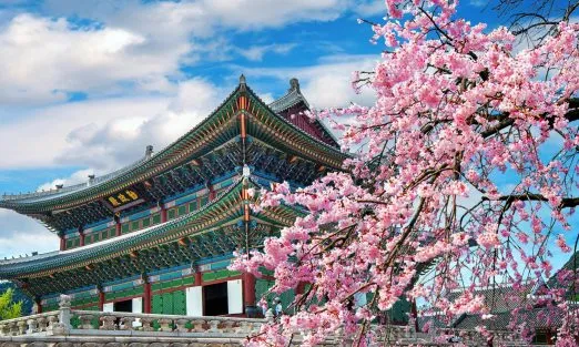 SOUTH KOREA – SLIDER