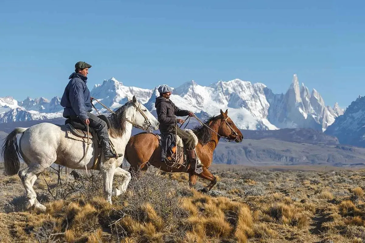 argentina-latin-america-horses