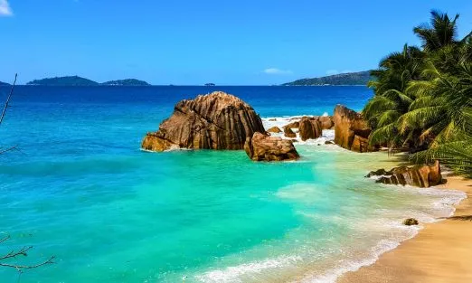 banner-fiji-island (3)