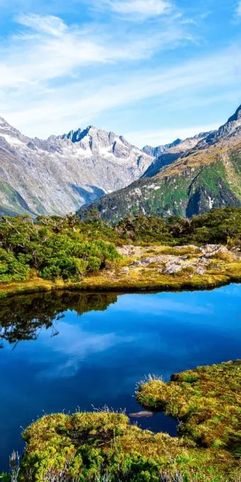 banner-new-zealand