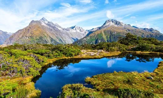 banner-new-zealand