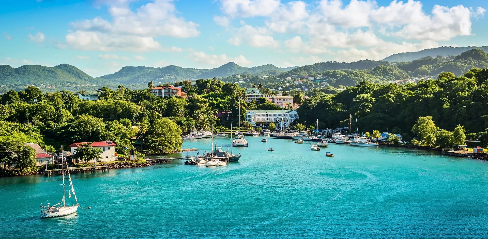 banner-saint lucia