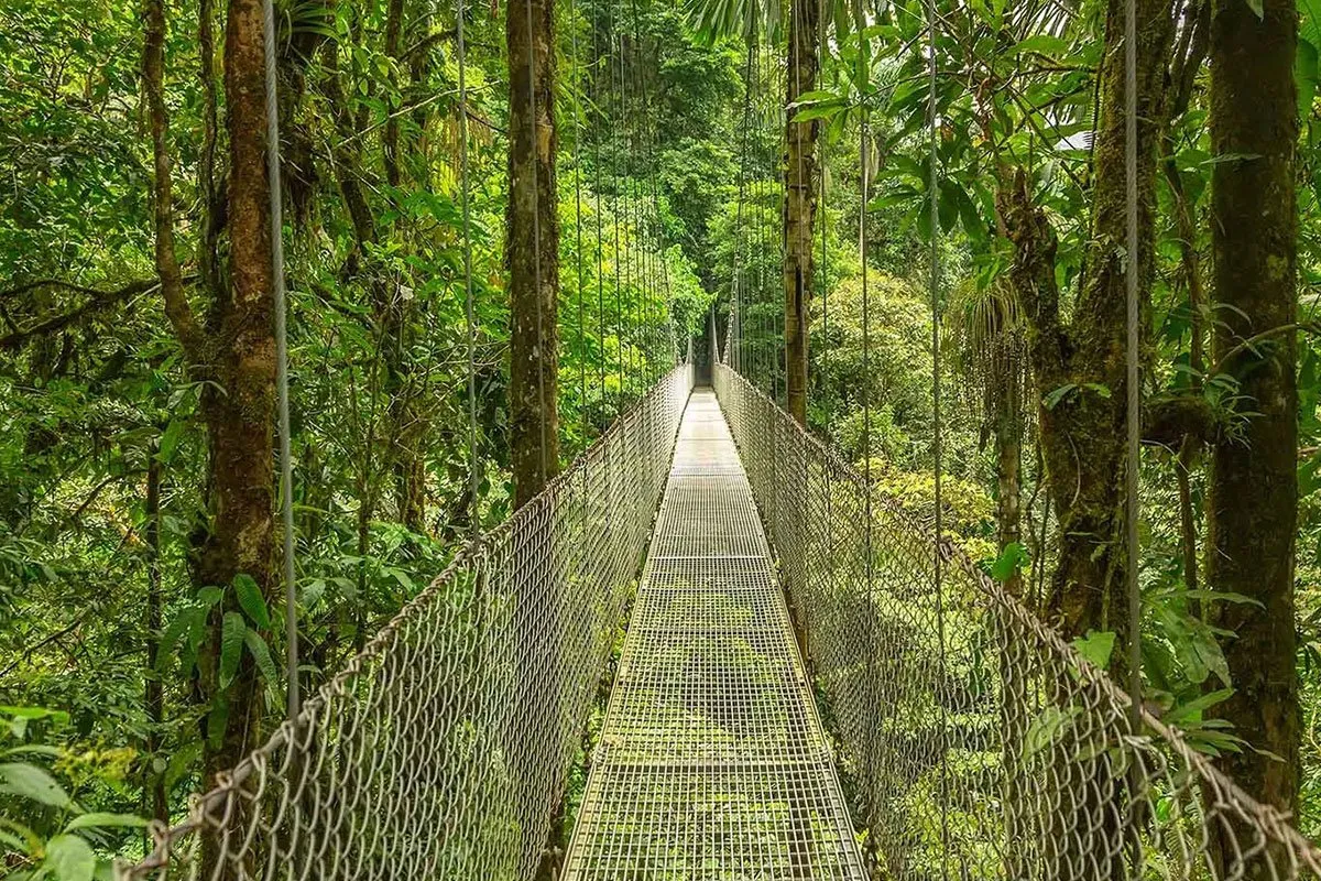 costa-rica-central-america-caribbean-net-bridge
