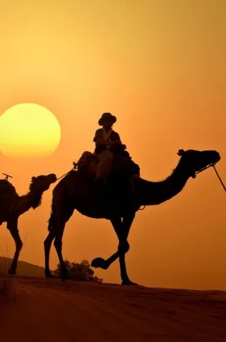 destination-continent-africa