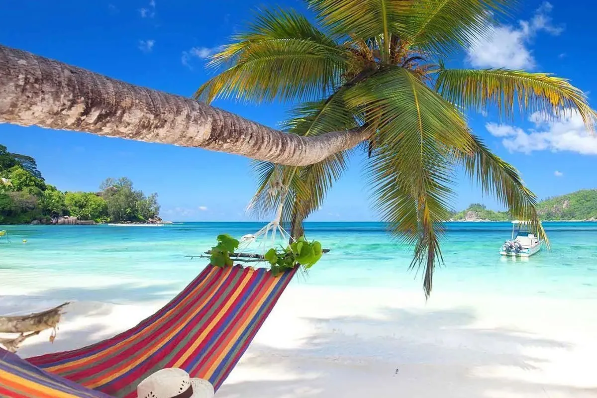 dominican-republic-punta-cana-central-america-caribbean-hammock