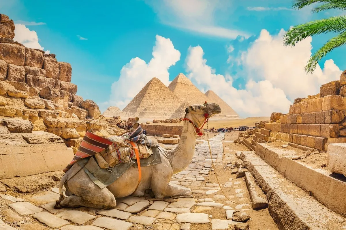 egypt 1200×800