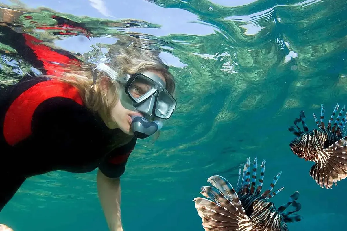 fiji-islands-oceania-lion-fish
