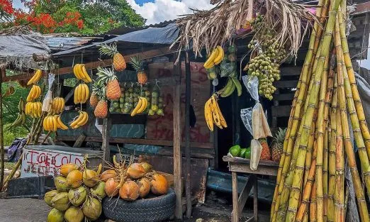 jamaica-central-america-caribbean-banana-stand