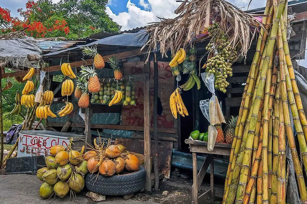 jamaica-central-america-caribbean-banana-stand