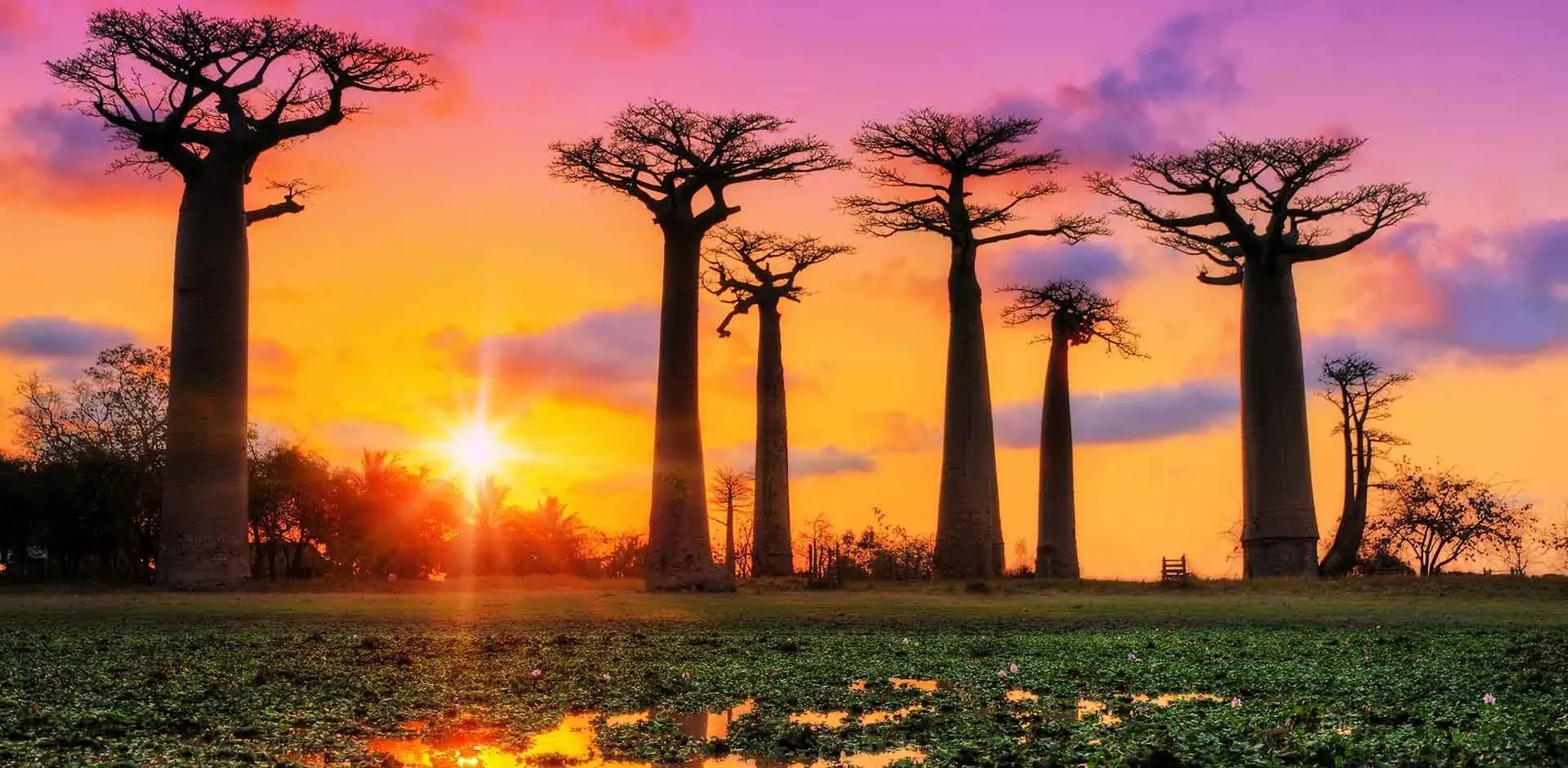 madagascar-africa-banner