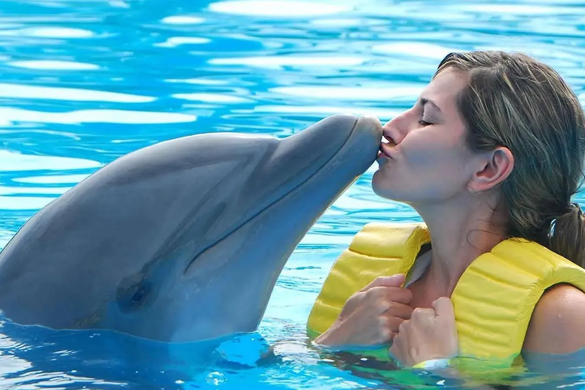 mauritius-africa-dolphin