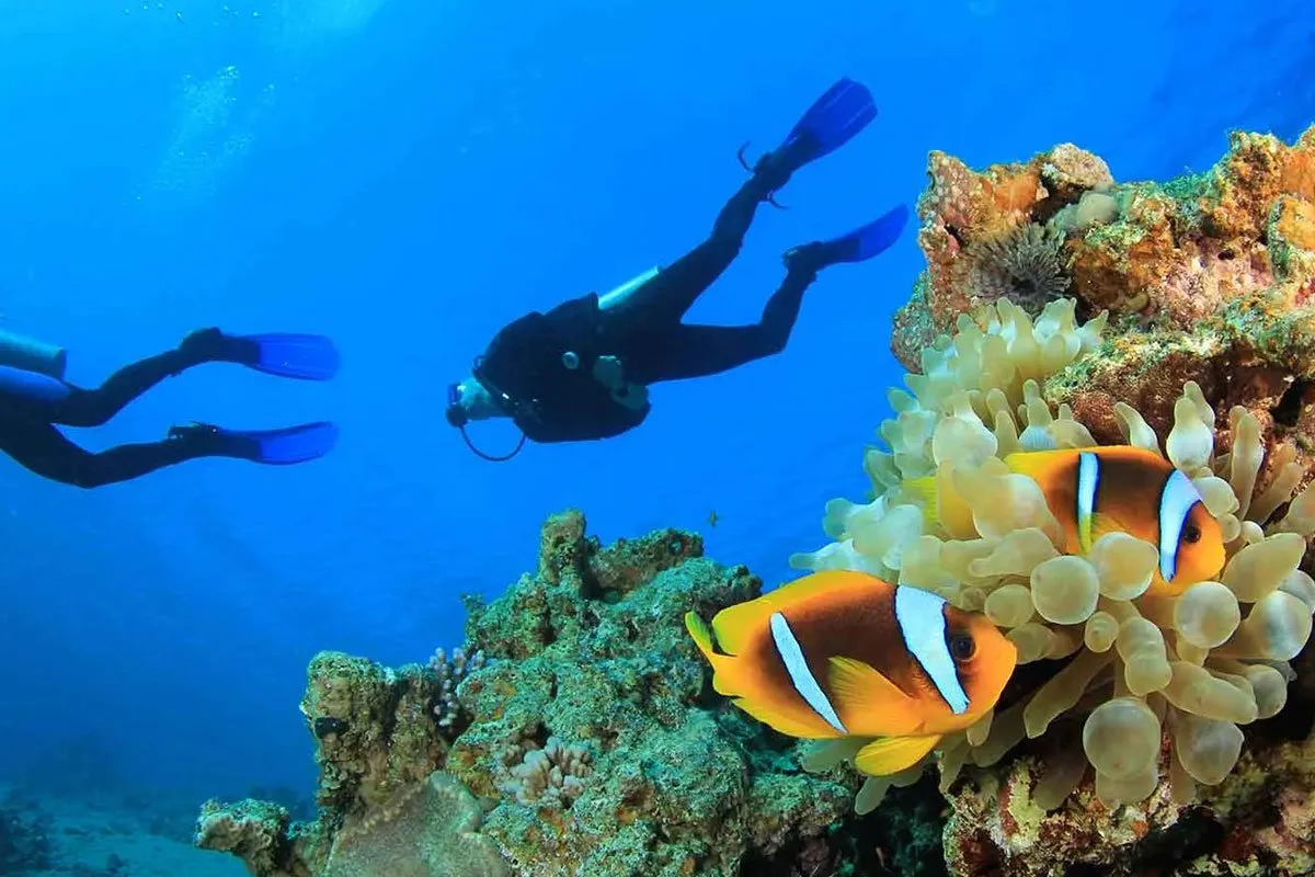mexico-riviera-maya-central-america-caribbean-scuba-divers