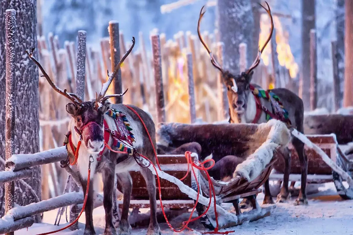 rovaniemi-europe-snow-sleigh