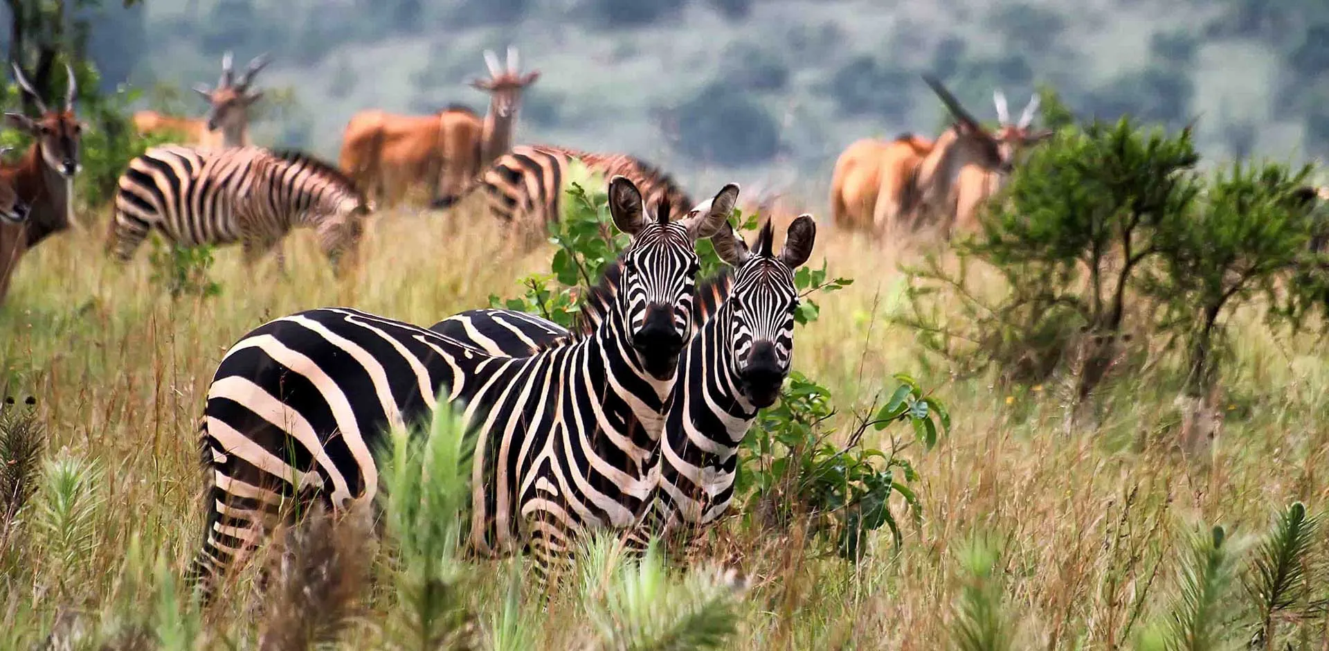 rwanda-africa-banner