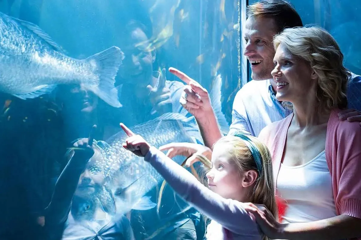 singapore-asia-aquarium