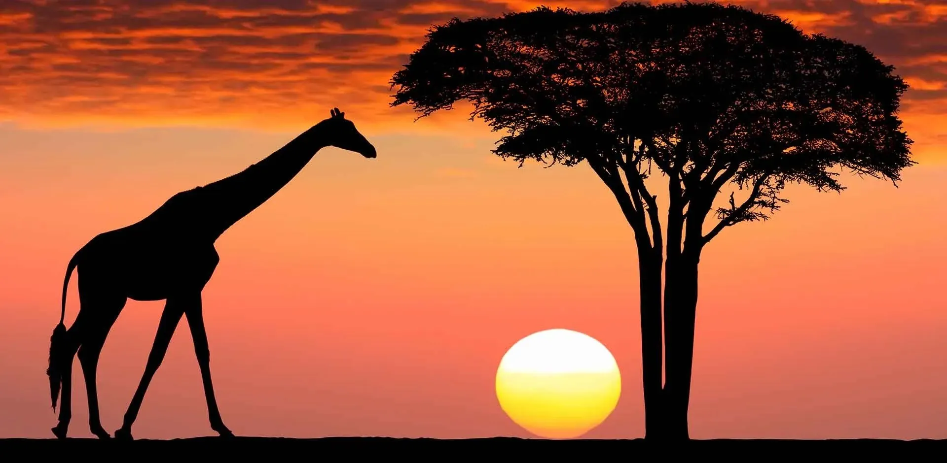 south-africa-africa-banner