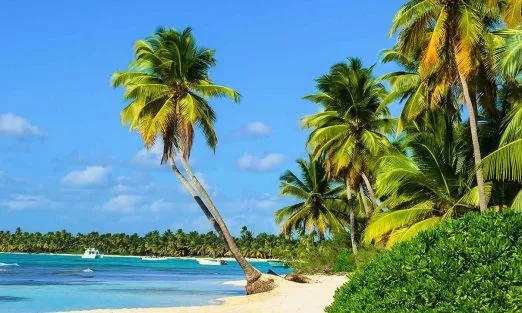 st-vincent-grenadines-central-america-caribbean-palm-beach