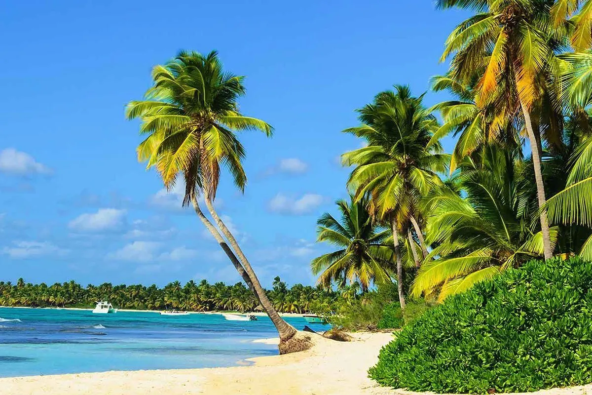 st-vincent-grenadines-central-america-caribbean-palm-beach