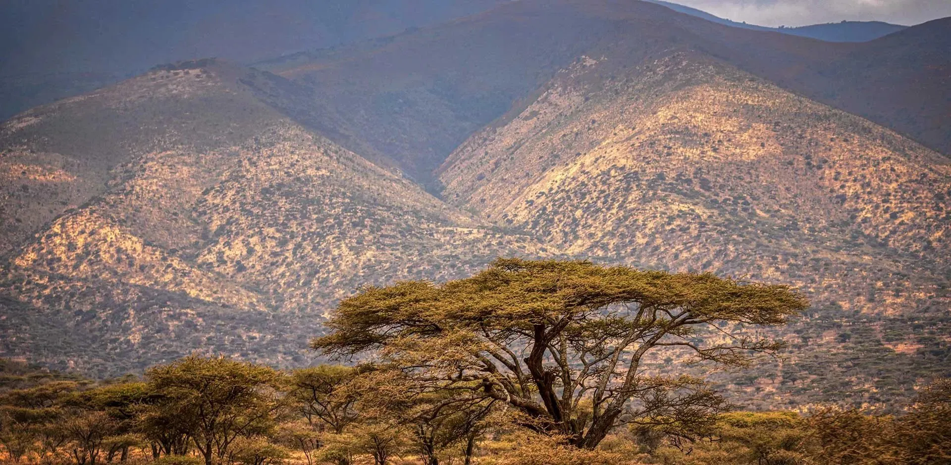 tanzania-africa-banner