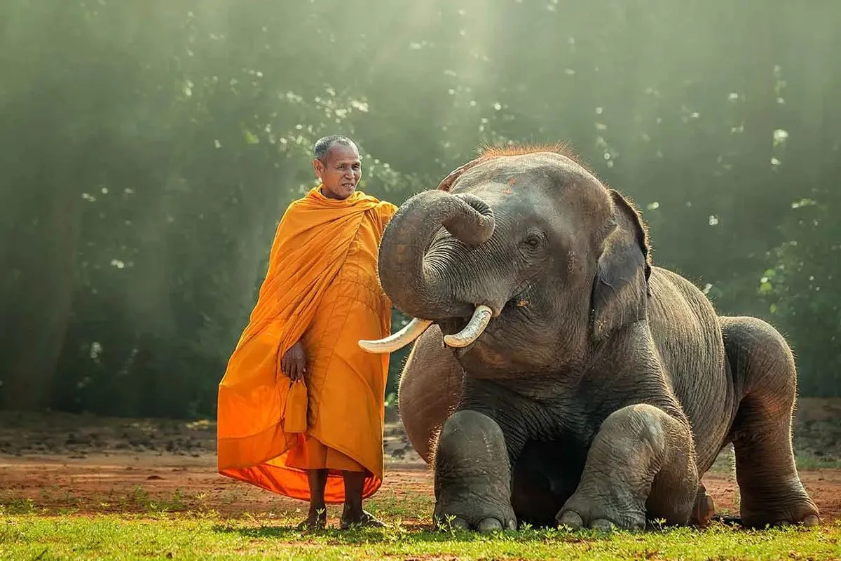 thailand-asia-monk