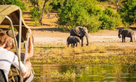 botswana-safari-elephants-slider