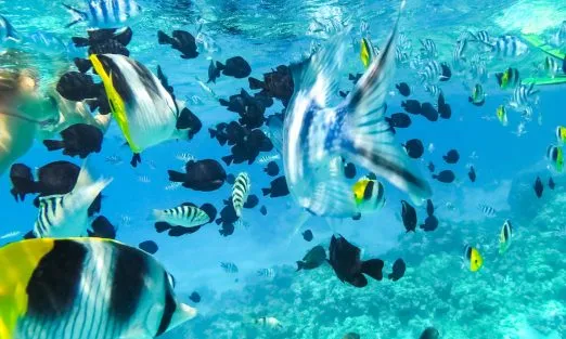 moorea-sea-french-polynesian-slider