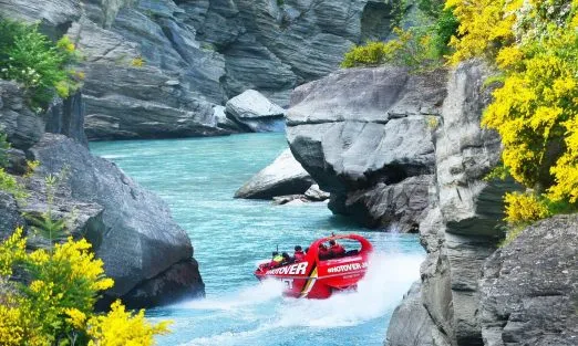 NEW ZEALAND – SLIDER