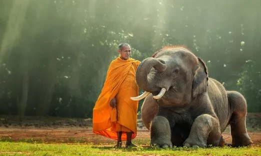 THAILAND – SLIDER