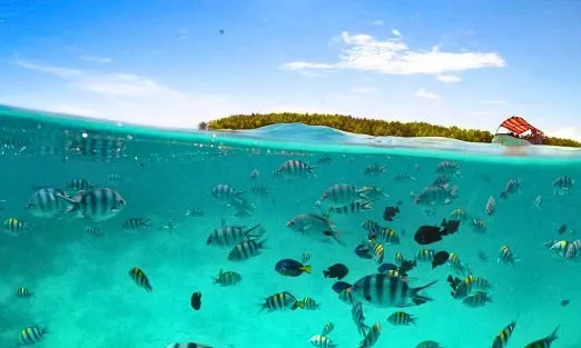 bahamas – slider (4)