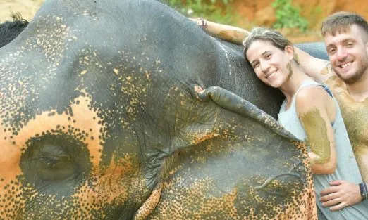 phuket-elephants-r&n-slider