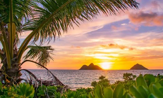 HAWAII–1920×940.jpg-2