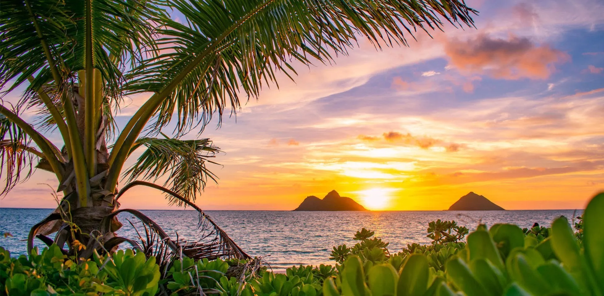 HAWAII–1920×940.jpg-2