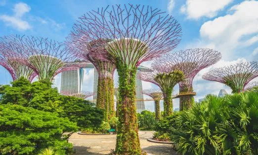 slider-SINGAPORE (7)1