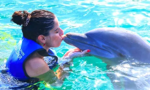 slider-punta-cana (13)