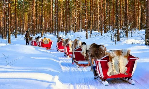 lapland-slider (2)