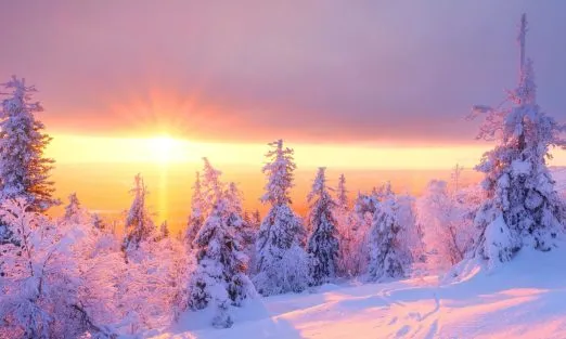 lapland-slider (5)