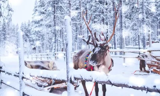 lapland-slider (11)