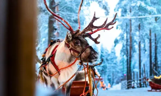 lapland-slider (15)